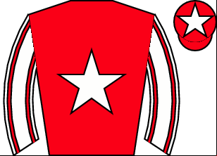 Horse silk