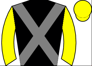 Horse silk