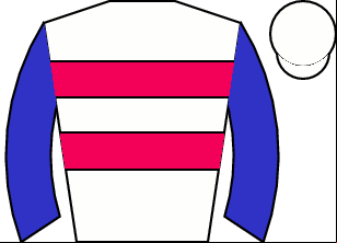 Horse silk