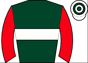 Horse silk