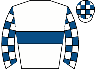 Horse silk