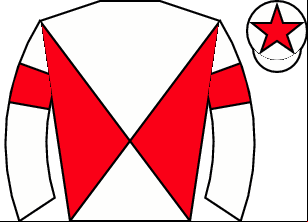 Horse silk