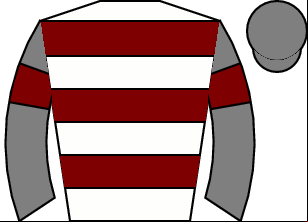Horse silk
