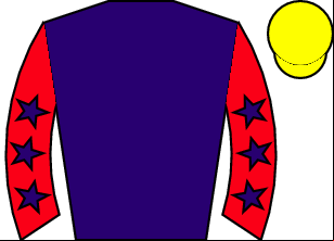 Horse silk