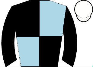 Horse silk