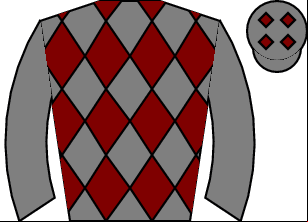 Horse silk
