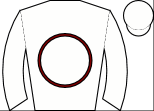 Horse silk
