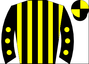 Horse silk
