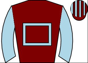 Horse silk