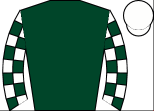Horse silk