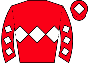Horse silk