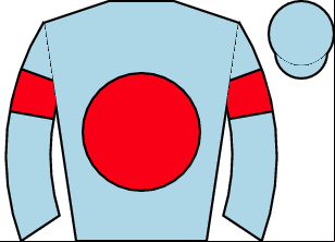 Horse silk