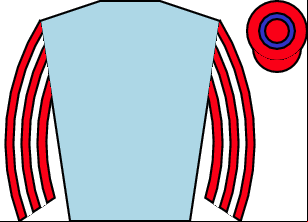Horse silk
