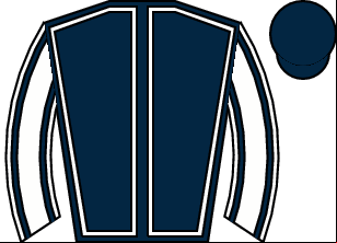 Horse silk