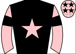 Horse silk