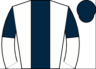 Horse silk