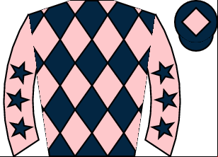 Horse silk