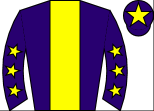 Horse silk