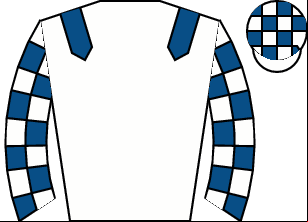 Horse silk