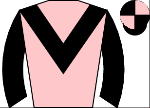 Horse silk