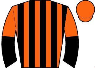 Horse silk