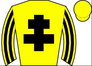 Horse silk