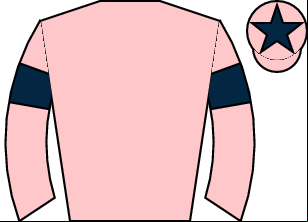 Horse silk
