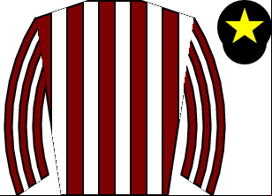 Horse silk