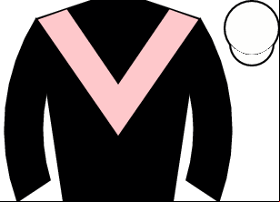 Horse silk