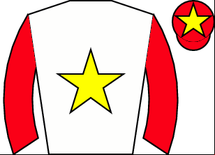 Horse silk