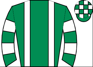 Horse silk