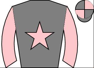 Horse silk
