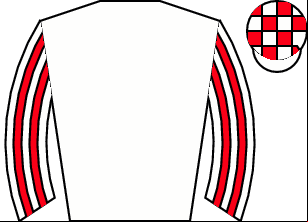 Horse silk