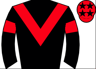 Horse silk