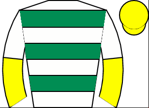 Horse silk