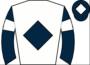 Horse silk