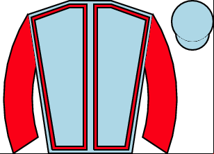 Horse silk