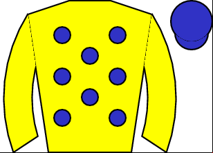 Horse silk