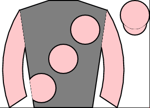 Horse silk