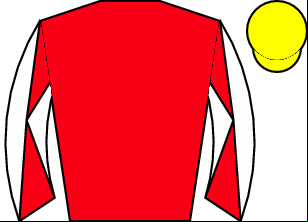 Horse silk