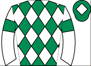 Horse silk