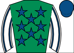 Horse silk