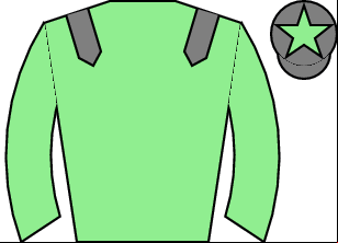 Horse silk
