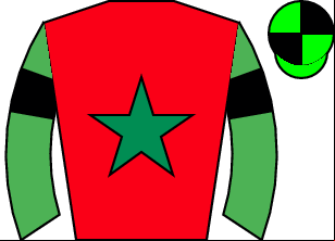 Horse silk