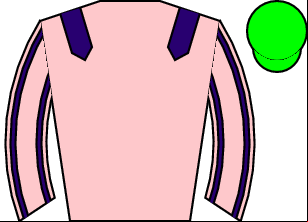 Horse silk