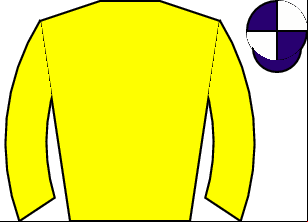 Horse silk
