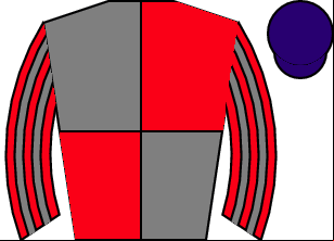 Horse silk