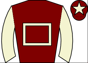 Horse silk