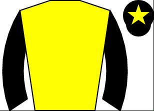 Horse silk