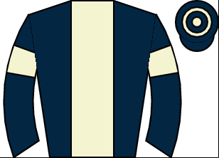 Horse silk